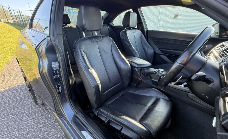 BMW M2 3.0i Coupe 2dr Petrol DCT Euro 6 (s/s) (370 ps)